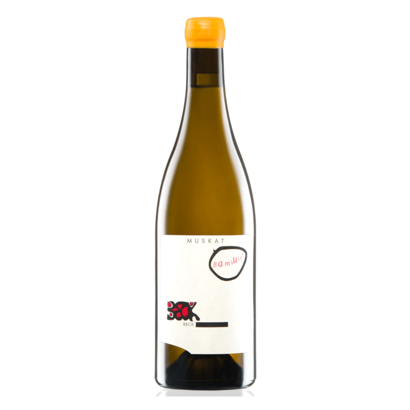 Judith Beck Muskat Bambule 2020