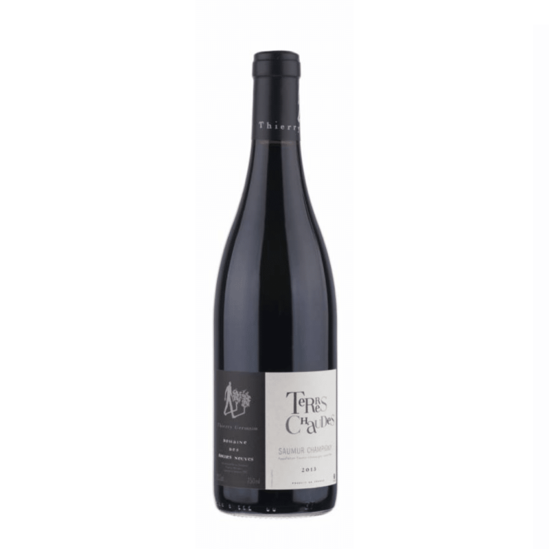 Domaine des Roches Saumur Champigny Terre Chaudes 2021