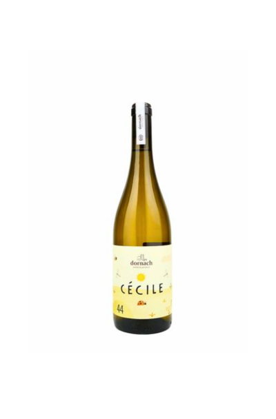 Cecile Bianco 2022 Dornach