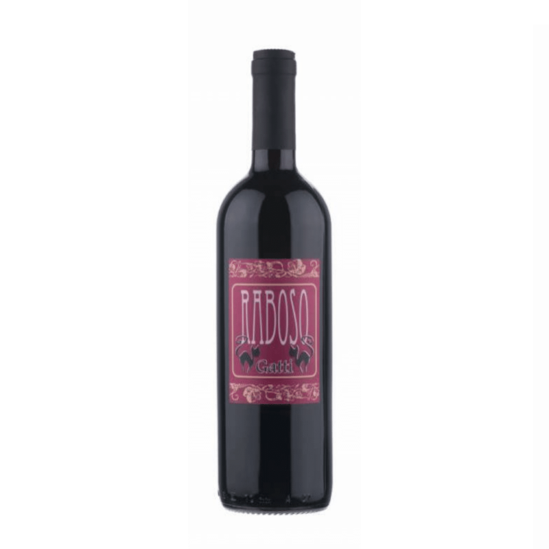 Carolina Gatti Raboso 2019