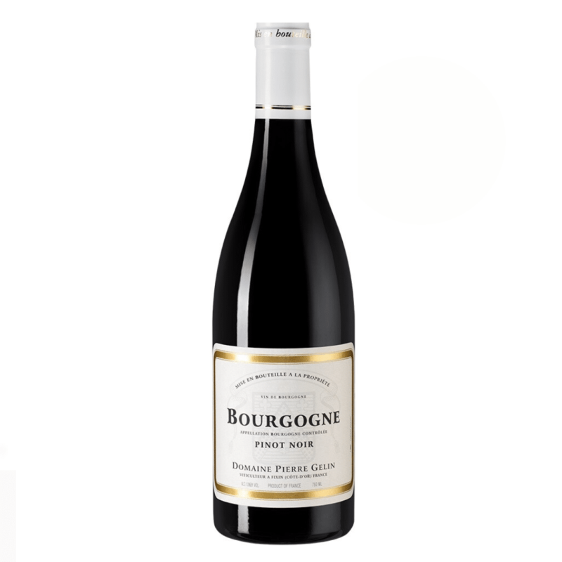 Pierre Gelin Bourgogne Pinot Noir 2021