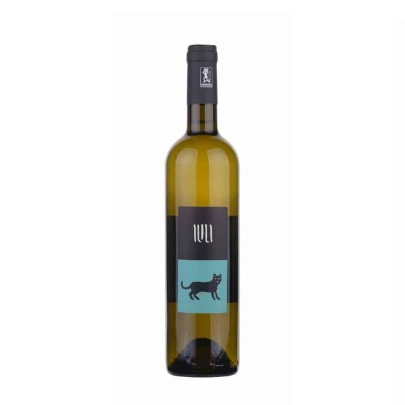 Iuli Barat 2020 Magnum