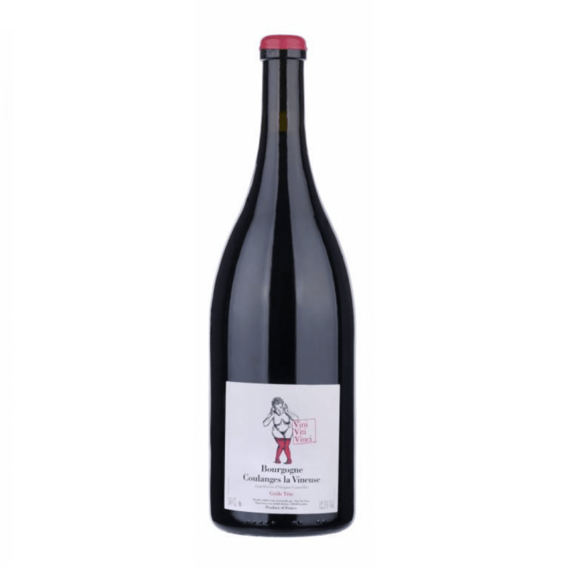 Vini Viti Vinci Grole Tete Bourgogne Coulange La Vineuse 2016