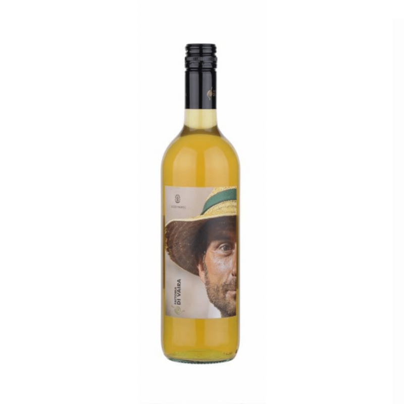 Fattoria di Vaira Vincenzo Bianco 2021