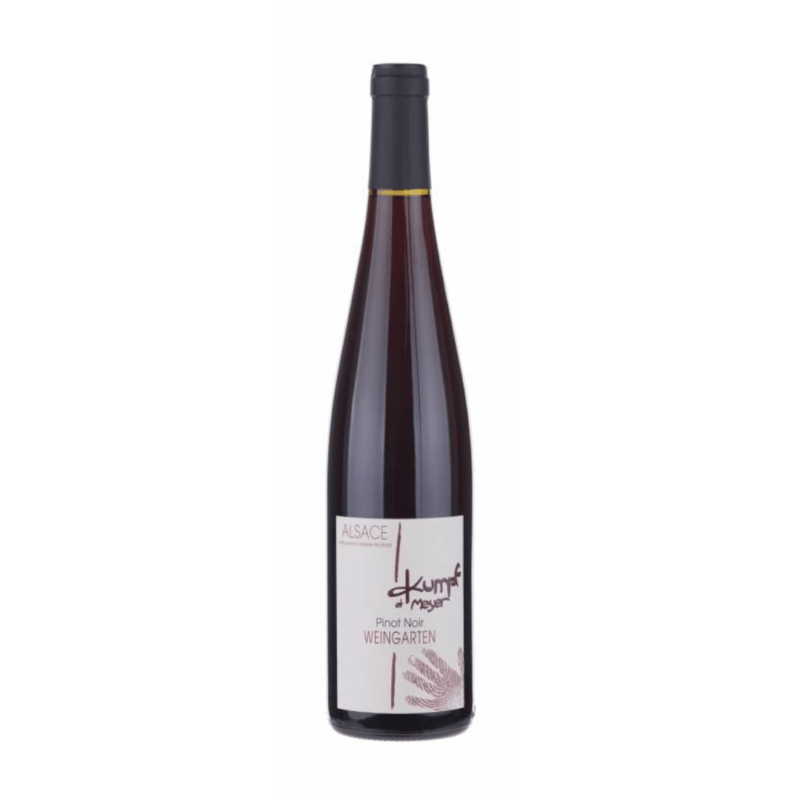 Kumpf et Meyer Pinot Noir Weingarten 2017