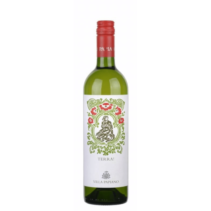 Villa Papiano Terra! 2022