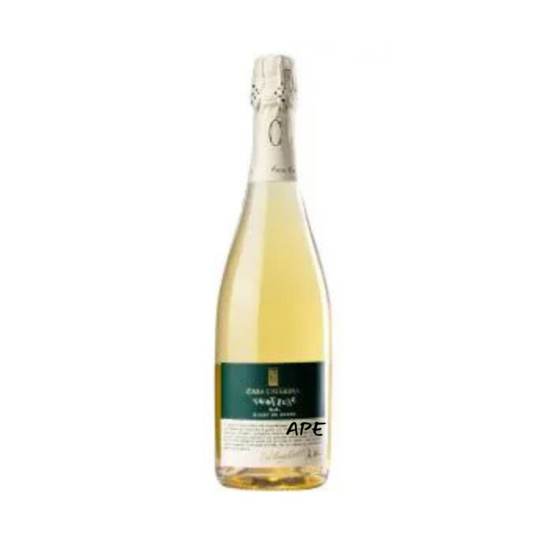 Cuvèe Vertical Dosaggio Zero Casa Caterina