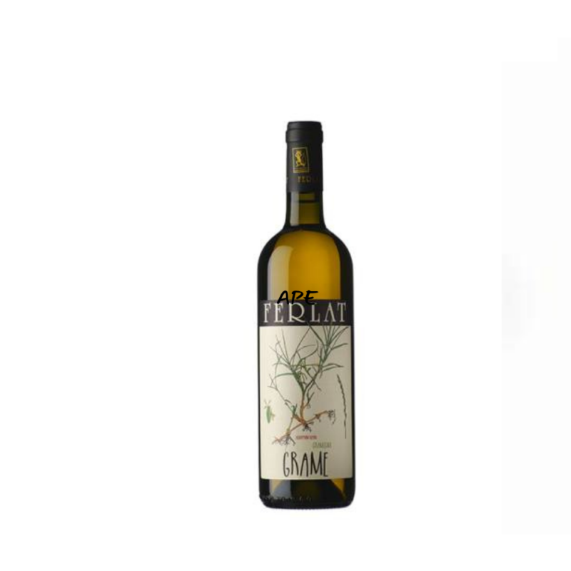 Grame Malvasia 2023 Ferlat
