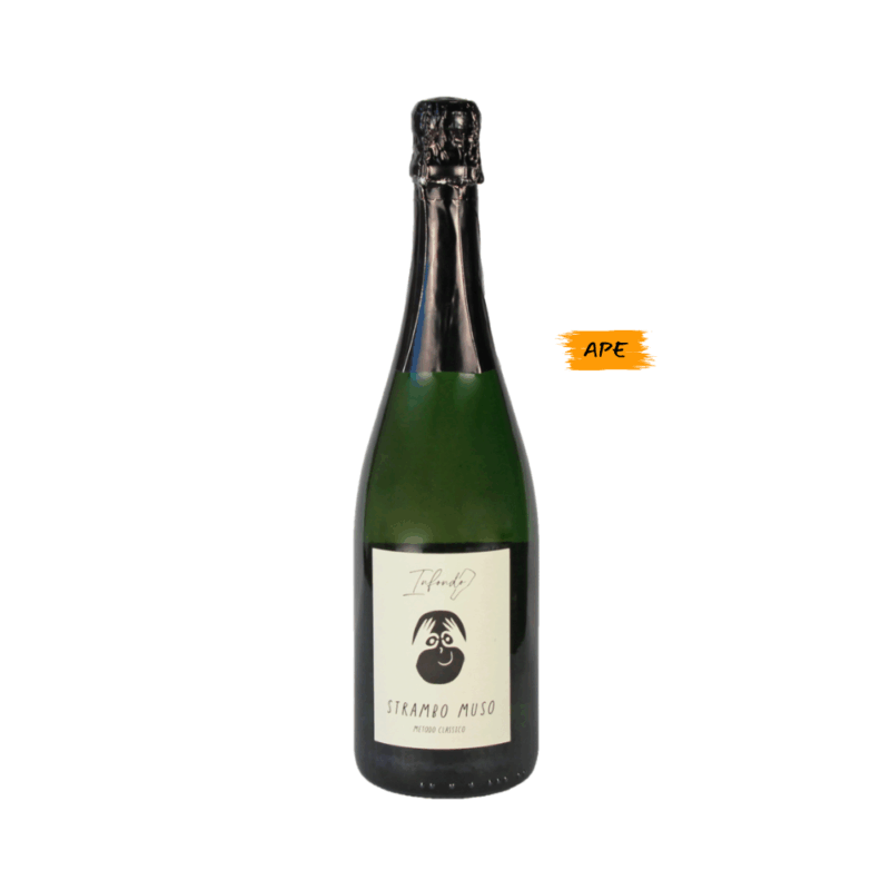 Strambo Muso Infondo