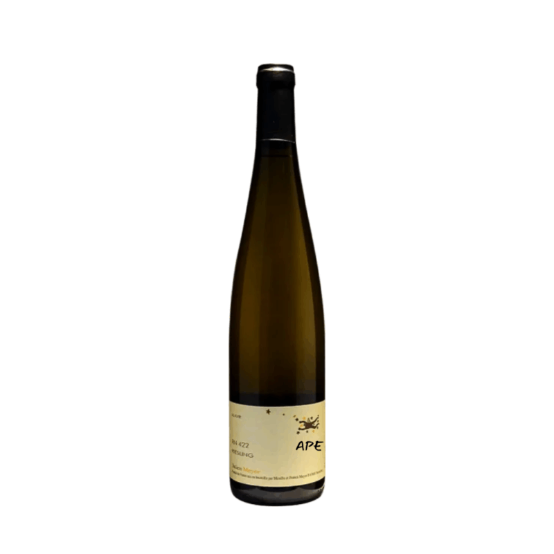 Riesling RN422 Julien Meyer