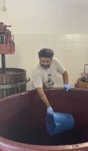 Natural Yeasts Lieviti indigeni