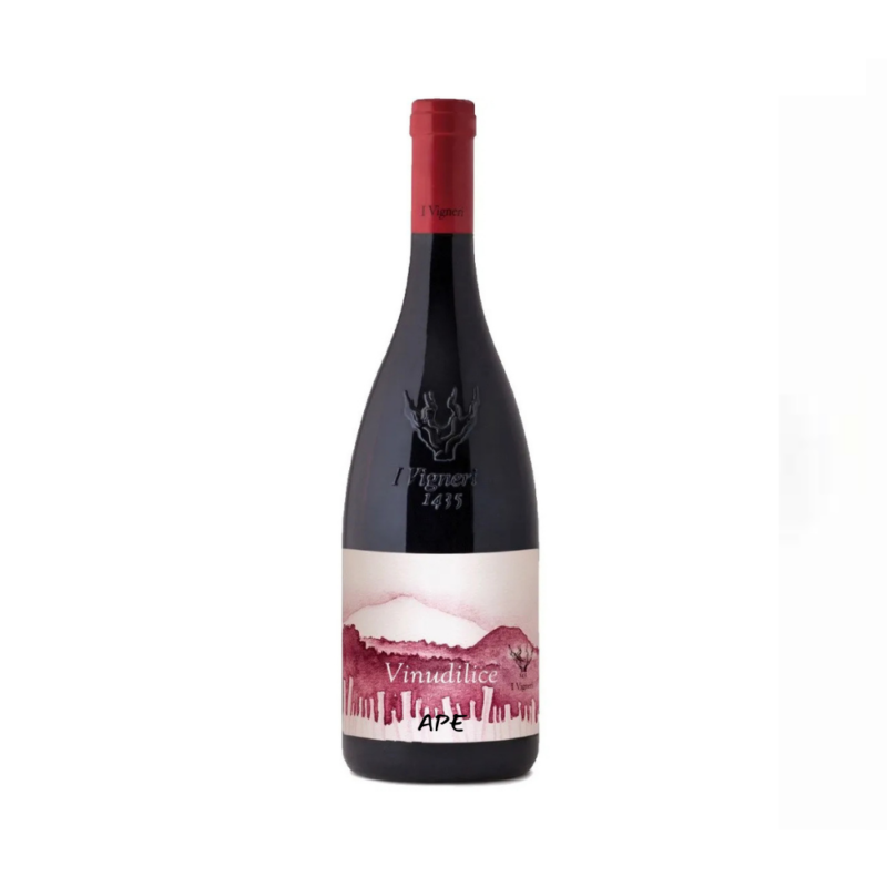 Vinudilice Vigneri di Salvo Foti