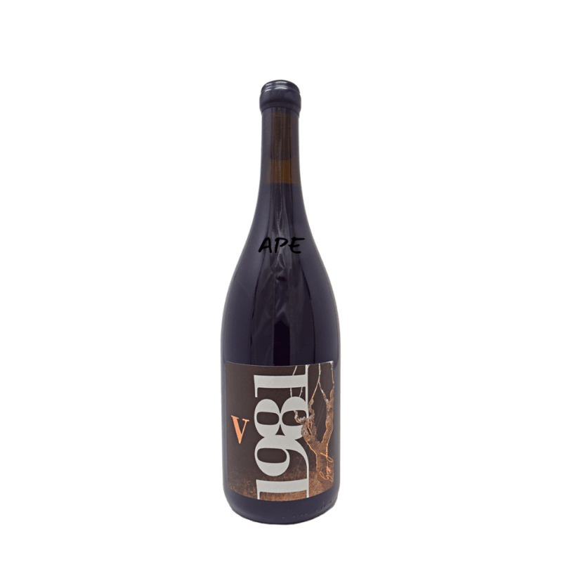 V 1981 Giuseppe Lazzaro