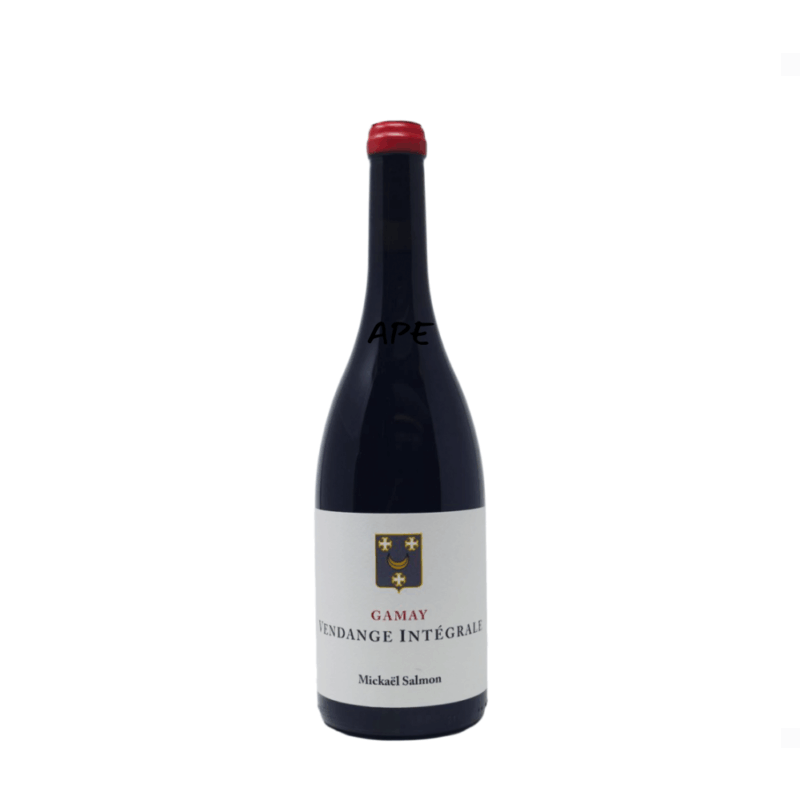 Vendage Integrale Gamay Lucas Salmon